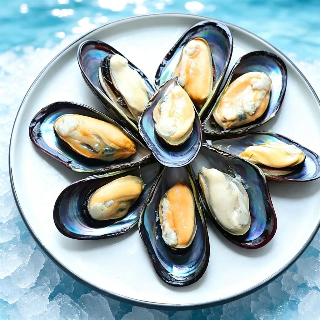 Fresh Wild-Caught Seafood Shellfish