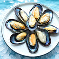 Fresh Wild-Caught Seafood Shellfish