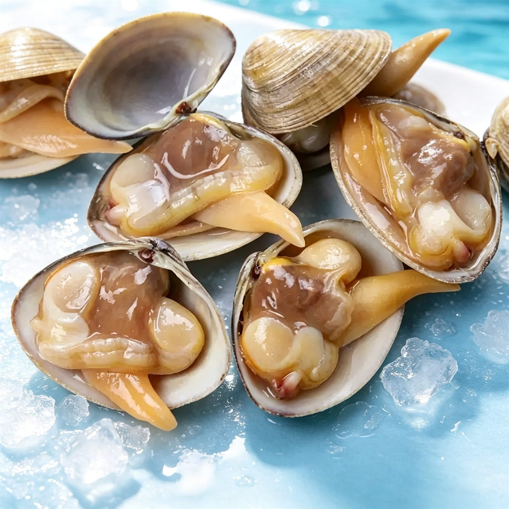 Extra-Large Sand-Free Yellow Clams
