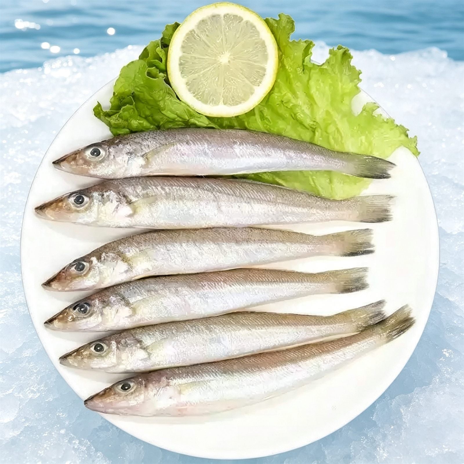 Frozen Deep-Sea Caught Sardines